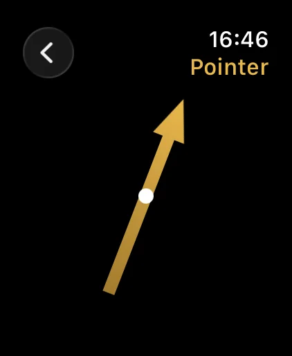Golden pointer arrow